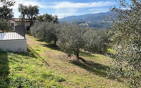 Agriturismo Vigna De' Luceri