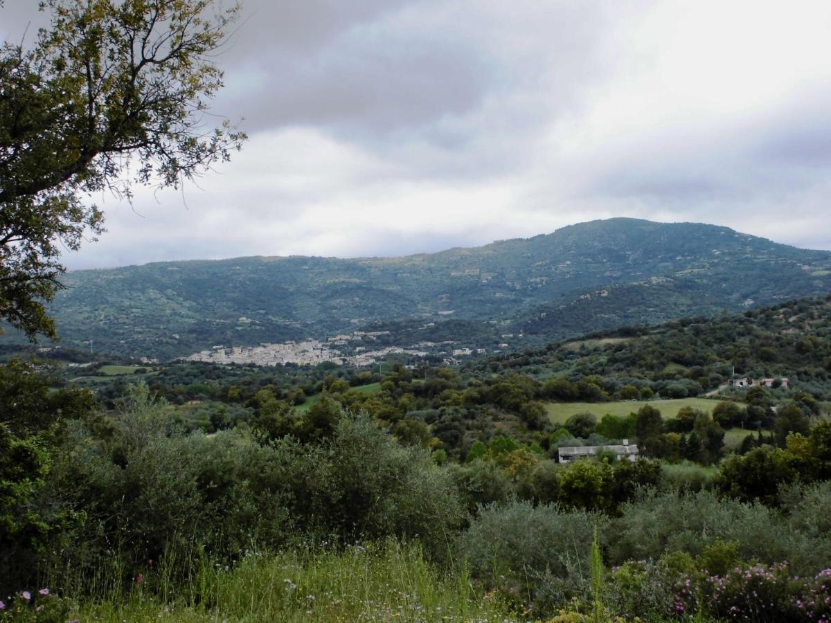Agriturismo Vigna De' Luceri Loceri Extérieur photo